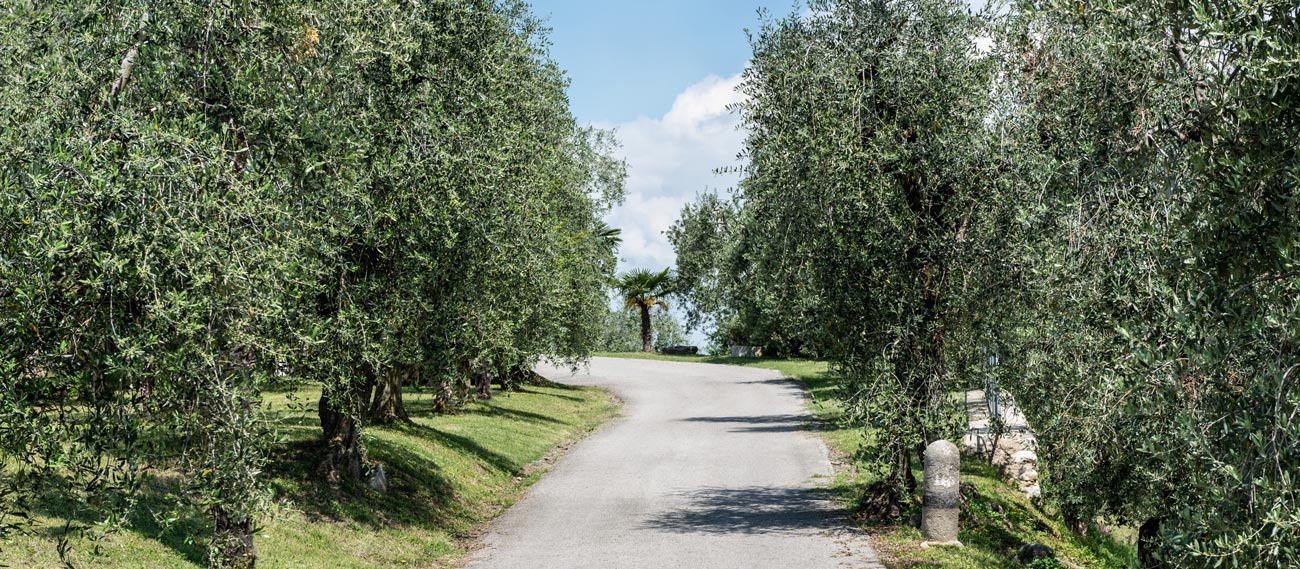 Azienda Esterno