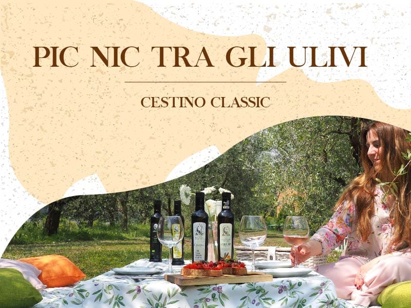 frantoio-manestrini-cestini-picnic-5