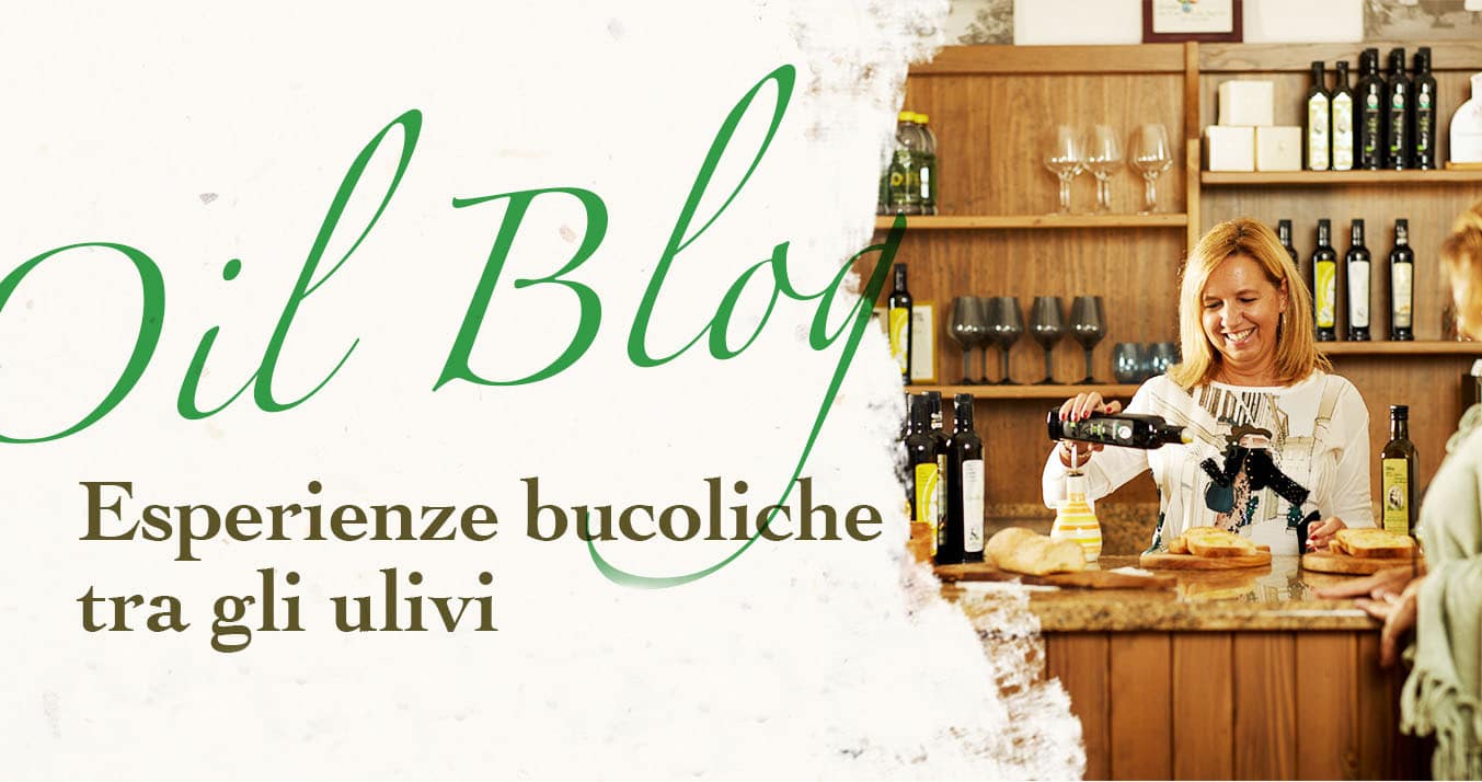esperienze bucoliche tra gli ulivi