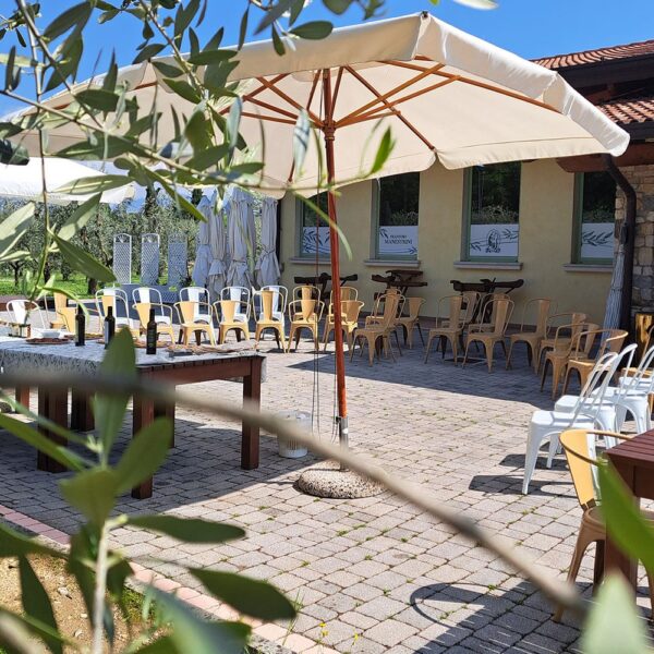 frantoio-manestrini-DEGUSTAZIONE-6.jpg