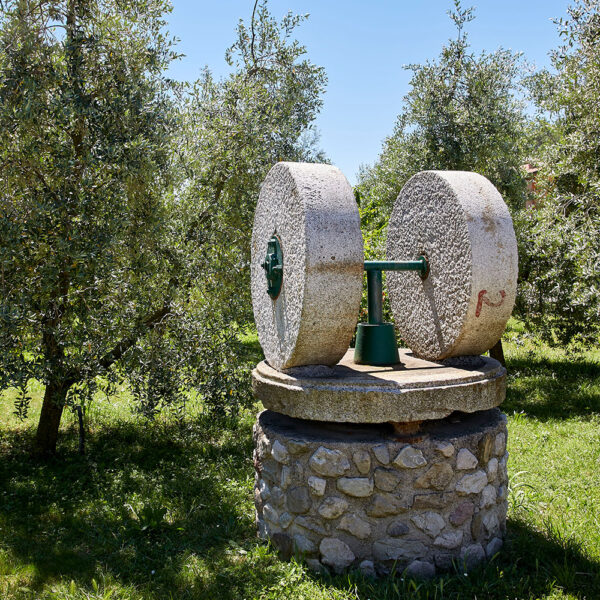 frantoio-manestrini-DEGUSTAZIONE-8.jpg