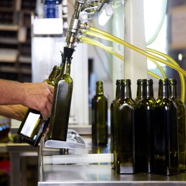 frantoio-manestrini-DEGUSTAZIONE-9.jpg