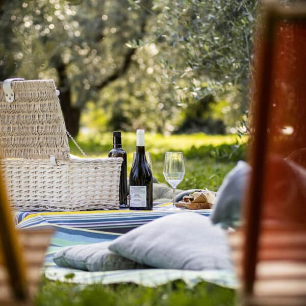 frantoio-manestrini-picnic-1