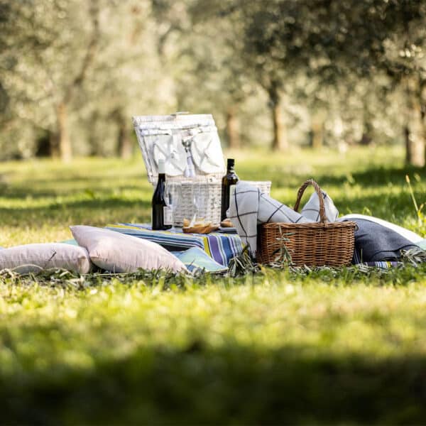 frantoio-manestrini-picnic-3