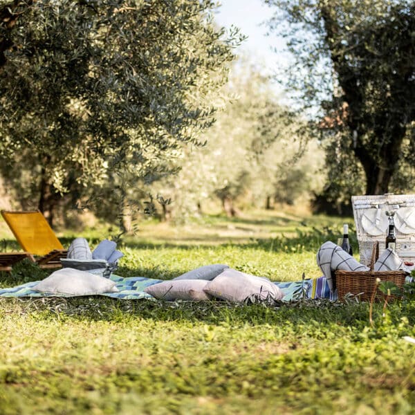 frantoio-manestrini-picnic-4