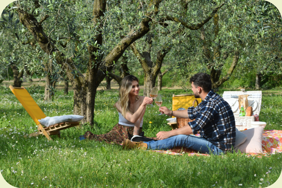 Visita del Frantoio con Degustazione e Picnic